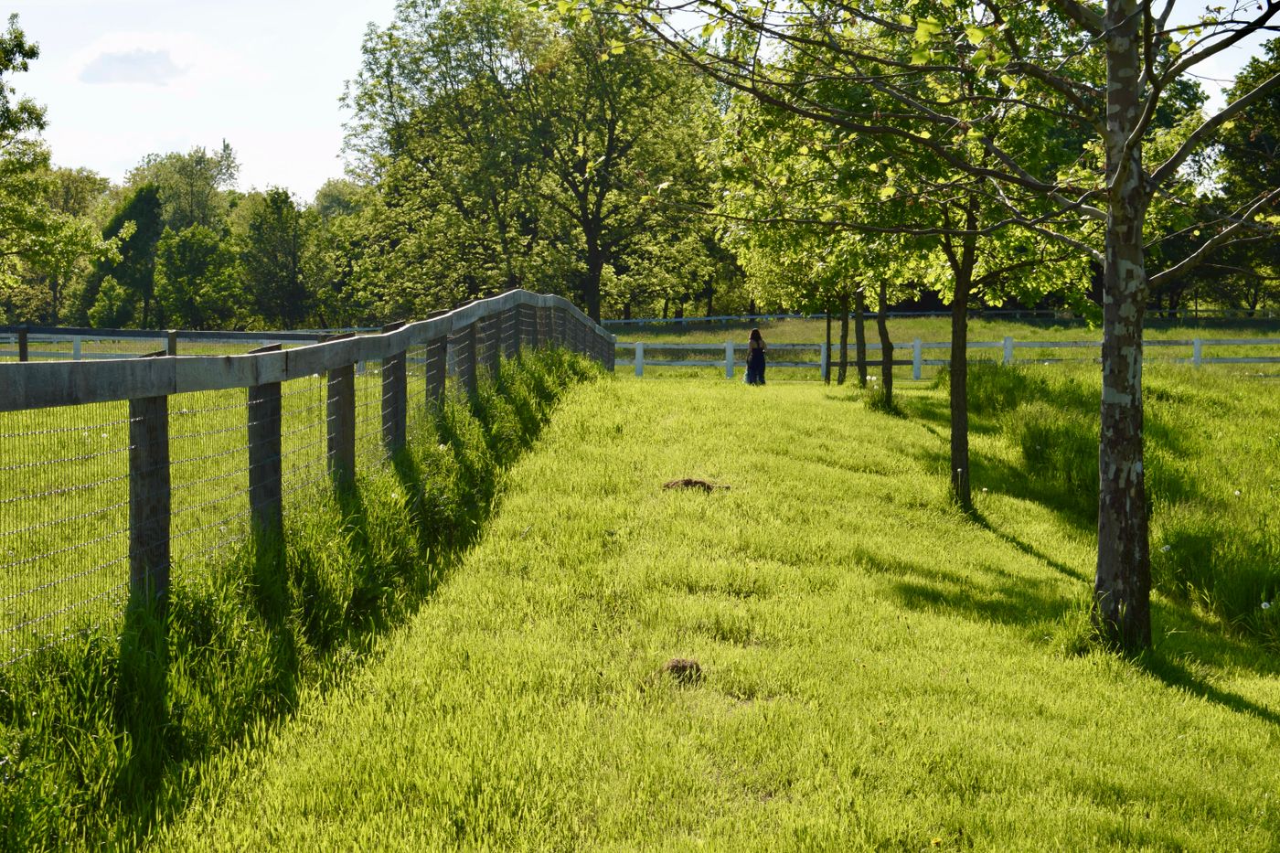 New timber field gate at a rural access point