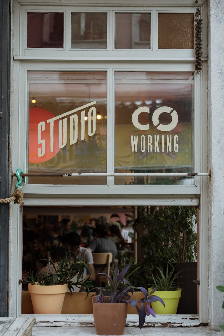 Houseplants Standing In The Window Of A Co-working Space 