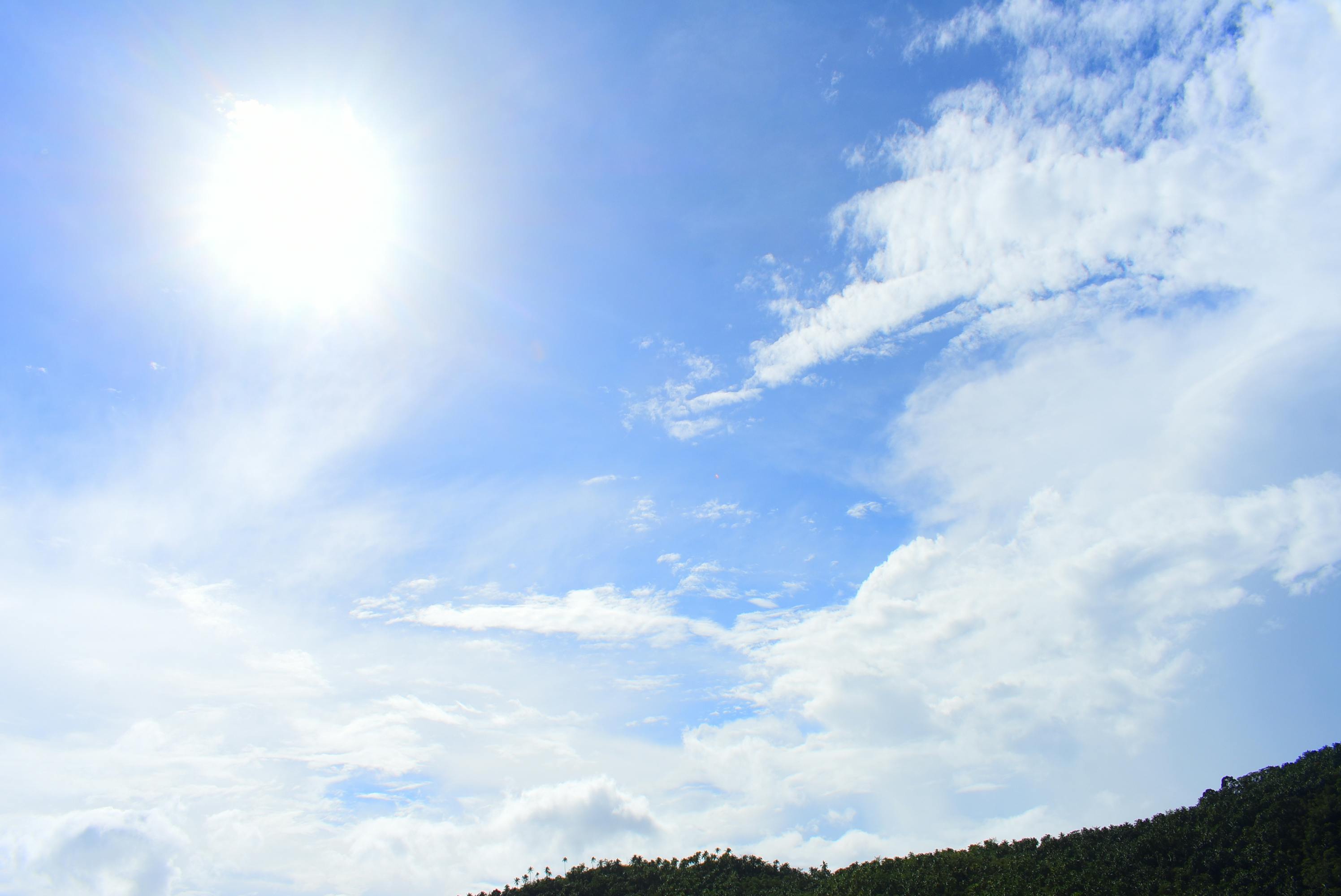 晴れ 空 自然の無料の写真素材