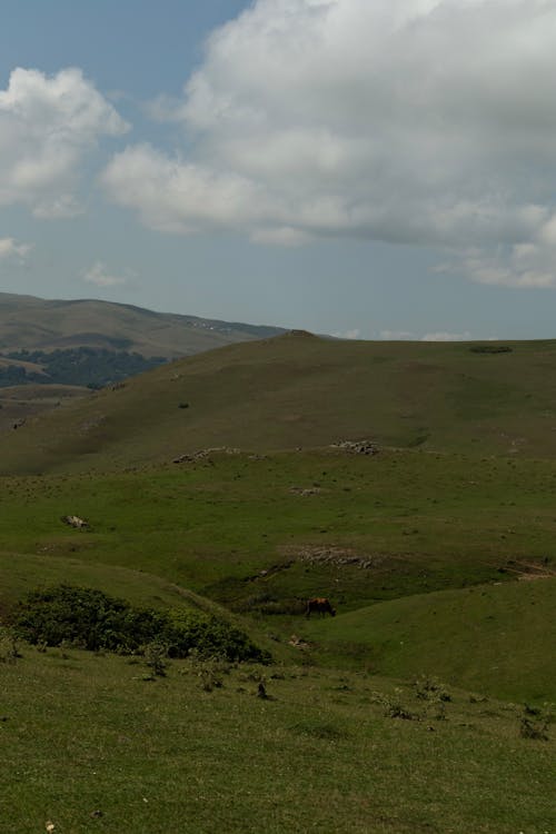 Rolling Landscape under Cloudy Sky 