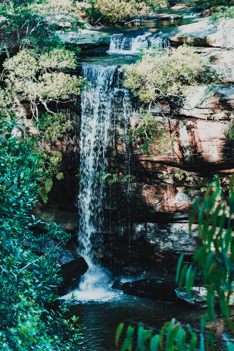 Waterfalls In The Middle Of The Forest