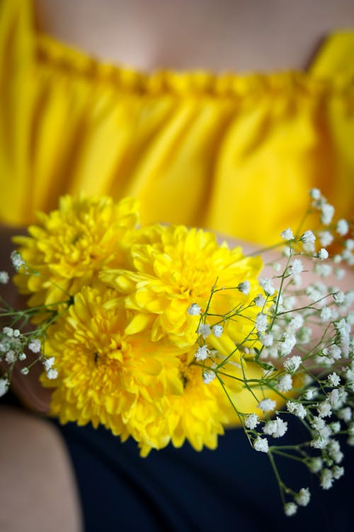 Yellow Flowers in Close Up Photography