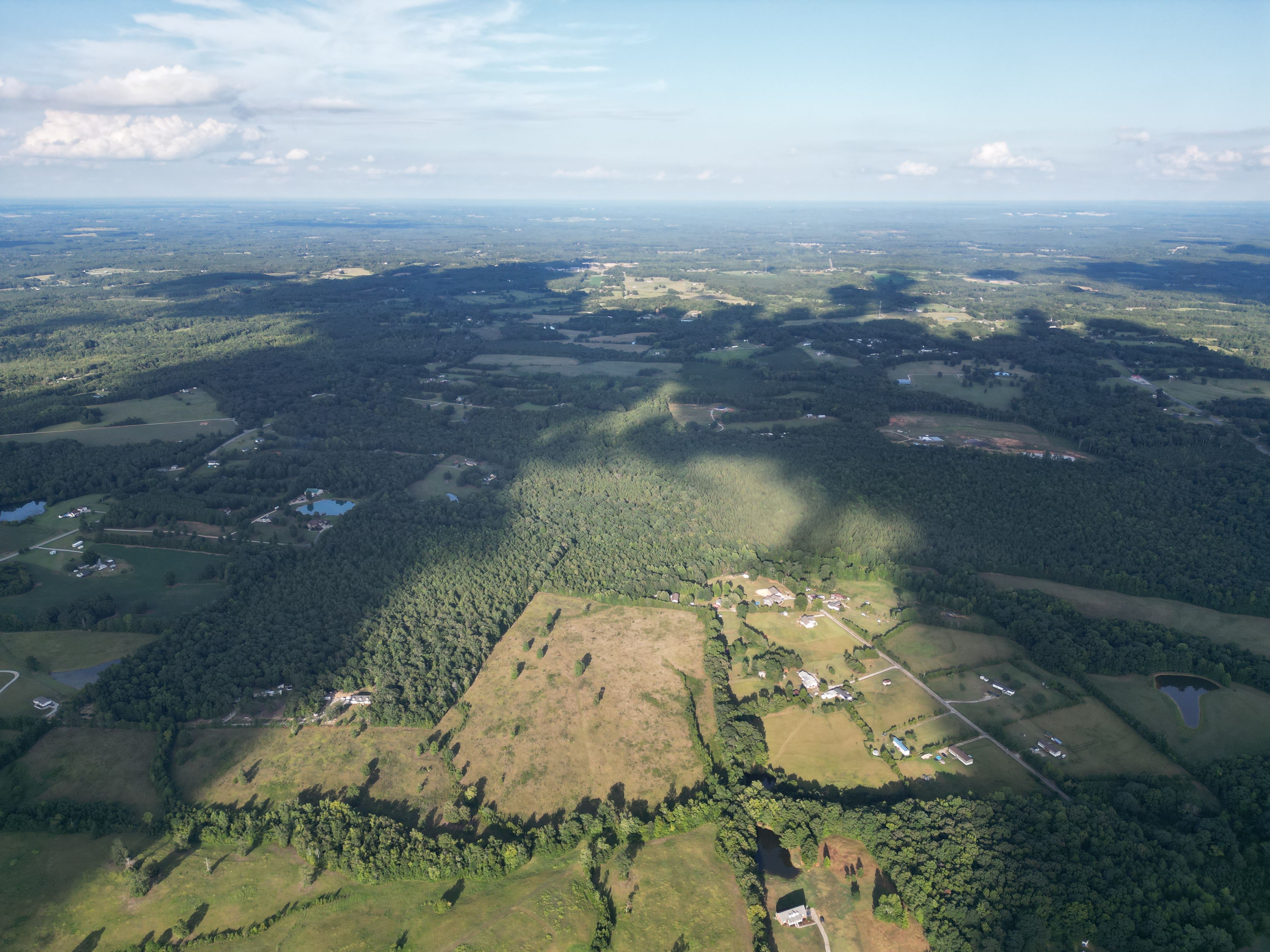 Aerial View of Green Trees on Green Gras Field · Free Stock Photo