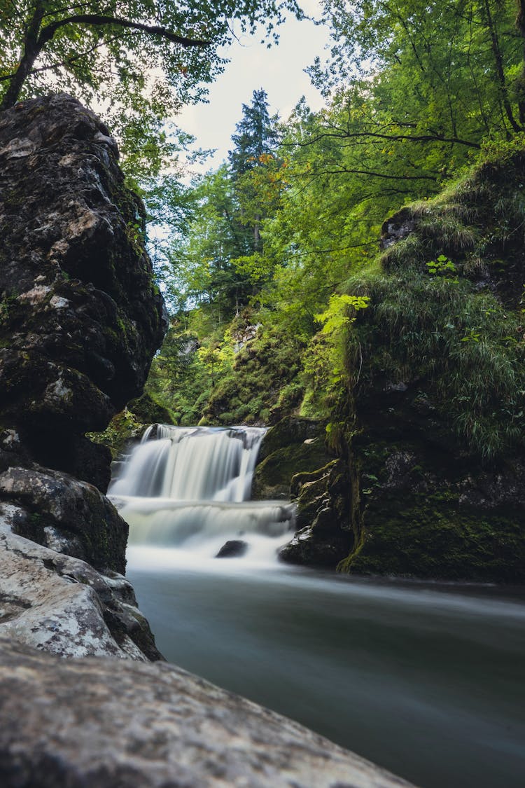 A Waterfall In A Forest