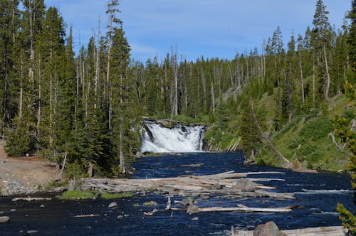 Бесплатное стоковое фото с водопады, заповедник йеллоустон, зеленые деревья