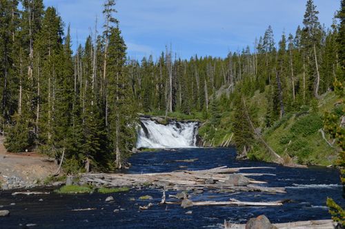 Free Serene waterfall surrounded by lush forest in Yellowstone National Park, Wyoming. Stock Photo