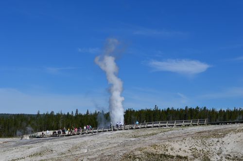 Free Crowd watching a geyser eruption at Yellowstone National Park under a clear blue sky. Stock Photo