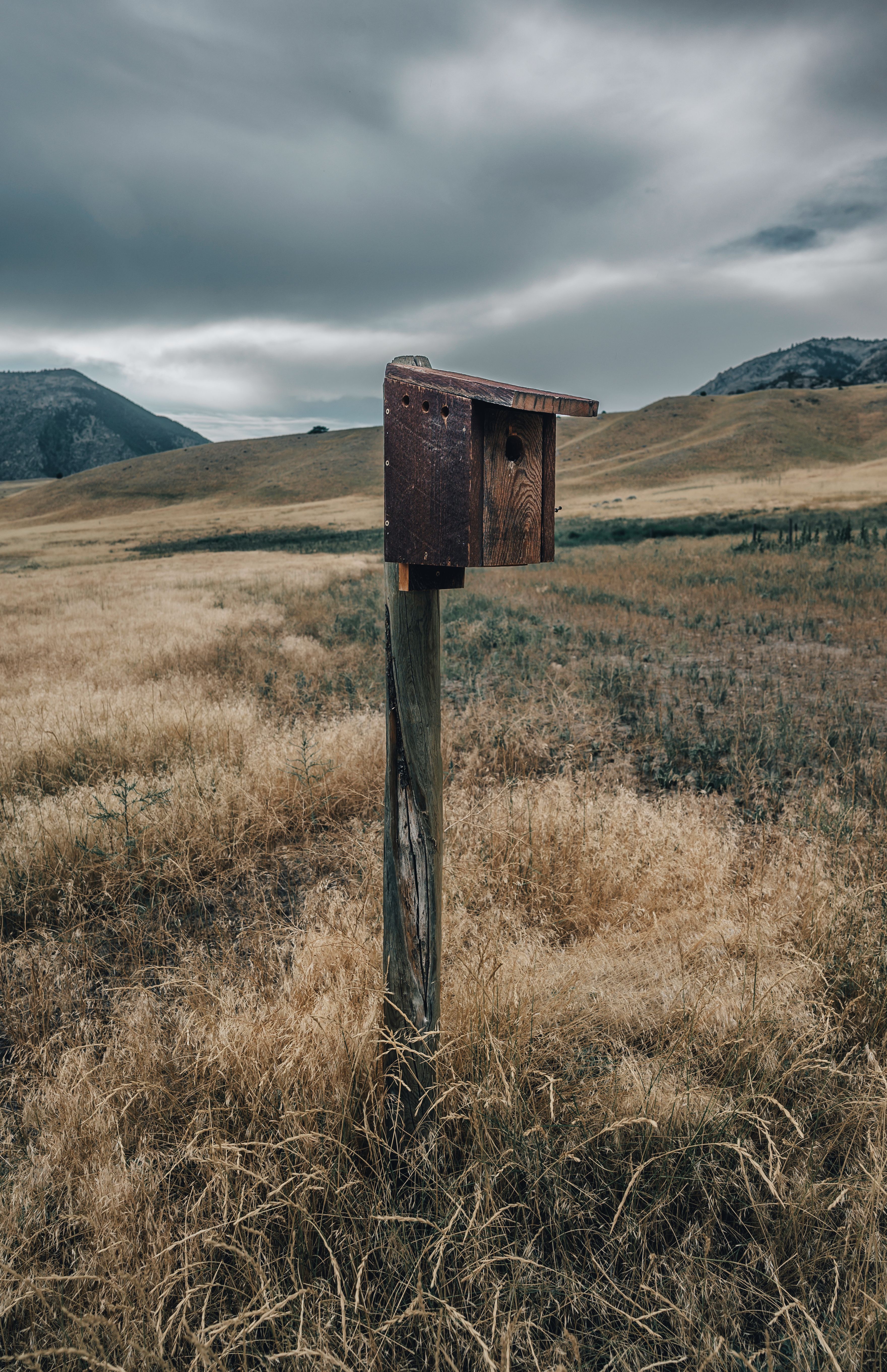 Brown Wooden Mailbox on Brown Field · Free Stock Photo