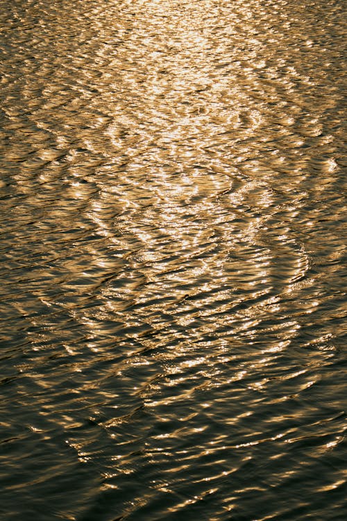 Sunlight Reflection on Water Surface