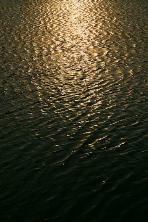 Light Reflection on Sea Waters