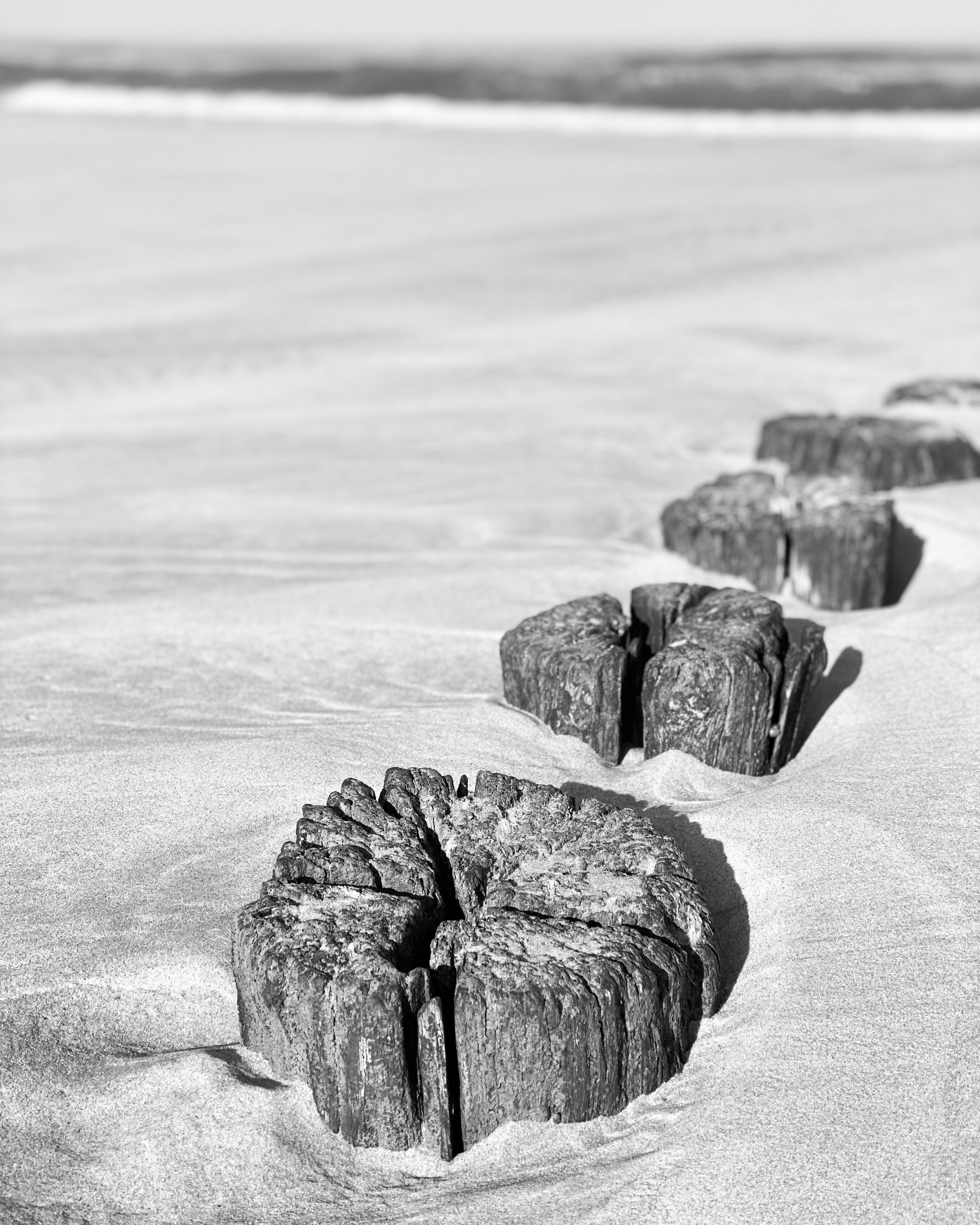 Wood Rexture Photos, Download The BEST Free Wood Rexture Stock Photos ...