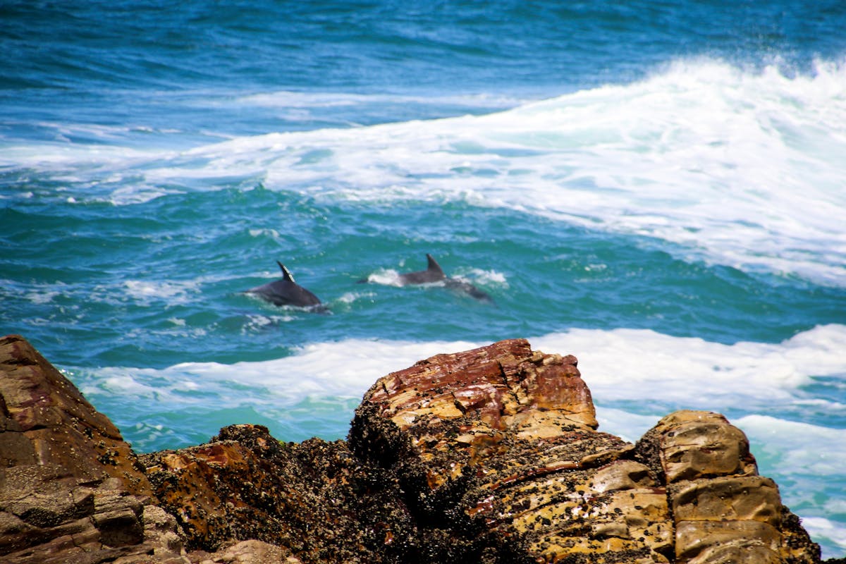 Basketball player taking a jump shot over a defender
