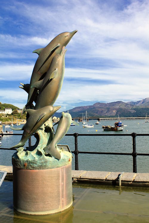 Free Four Gray Dolphins Statue Near Water Stock Photo