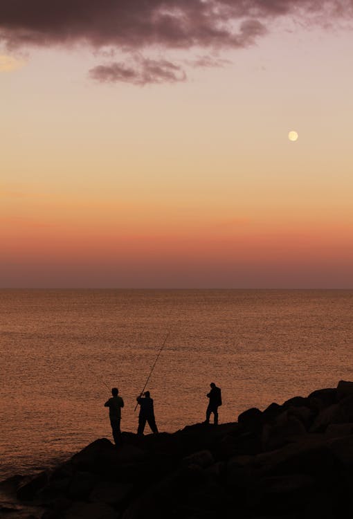 免費 在海邊釣魚的人的剪影 圖庫相片
