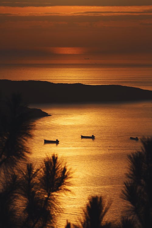 Silhouette of Boats on Sea during Sunset