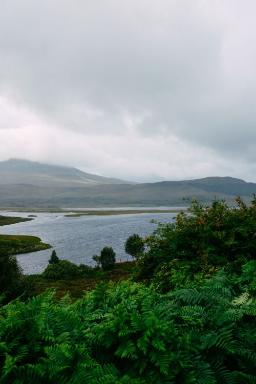 Free Serene view of lush green landscape with cloudy sky and tranquil waters, showcasing natural beauty. Stock Photo