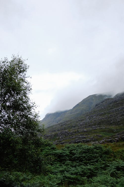 Foto stok gratis alami, awan, berkabut