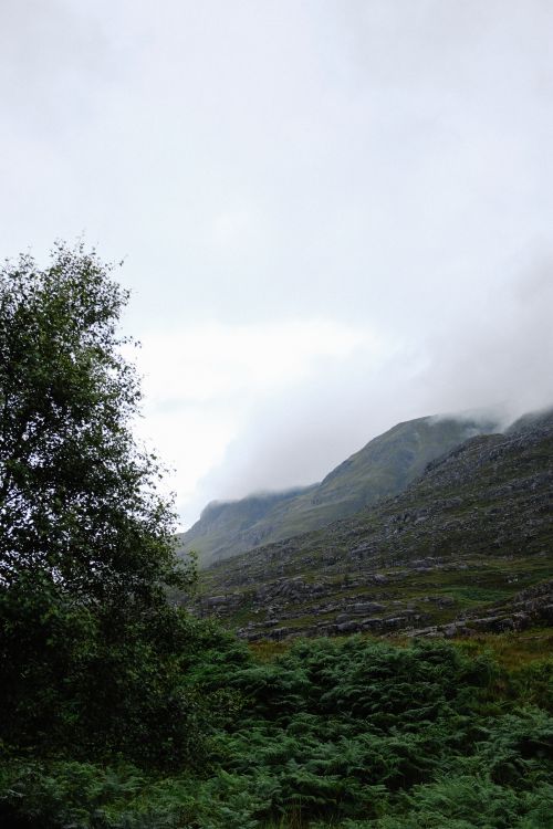 Free A tranquil foggy mountain scene with lush greenery and misty atmosphere, ideal for nature photography. Stock Photo
