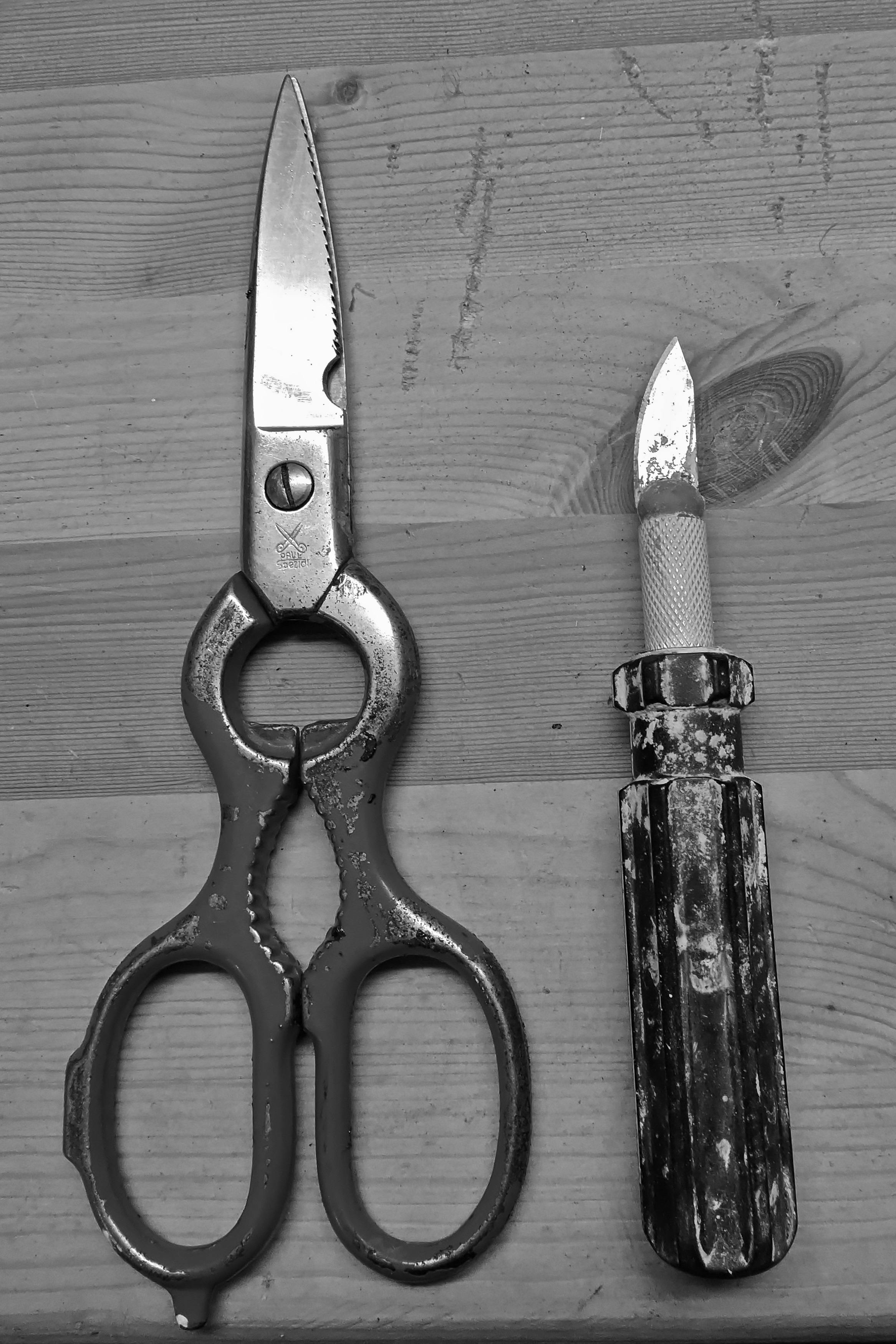 Free stock photo of scissors, tools