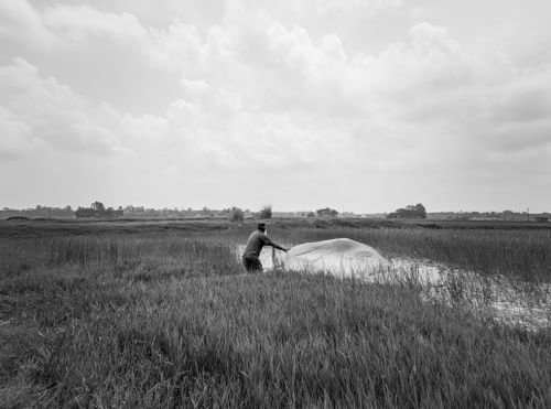 Free A serene black and white photo of a farmer tending to a field in rural Bangladesh. Stock Photo