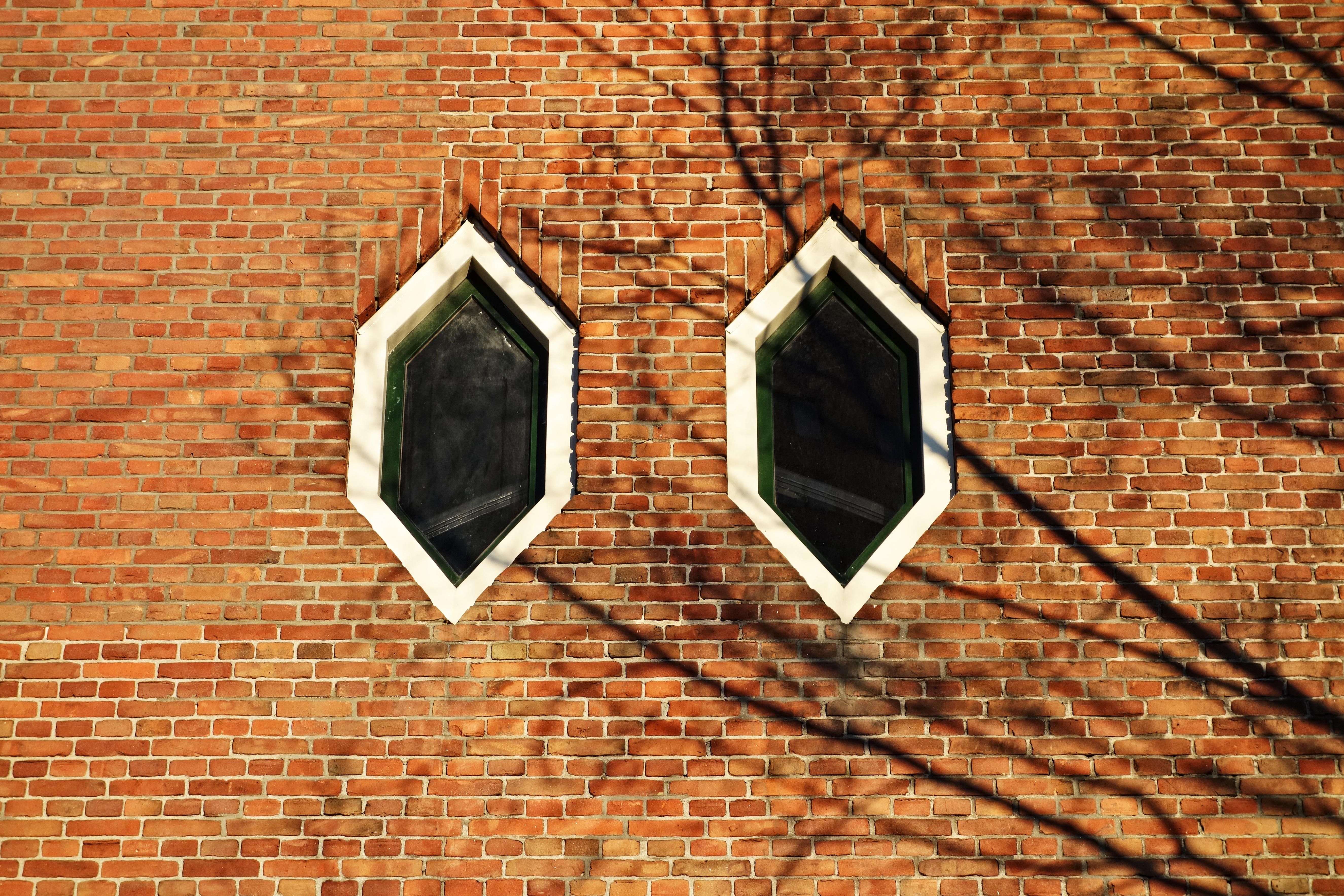 Foto: Mabel Amber / Pexels