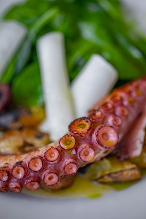 Free Delicious grilled octopus served with fresh vegetables, highlighting vibrant flavors. Stock Photo