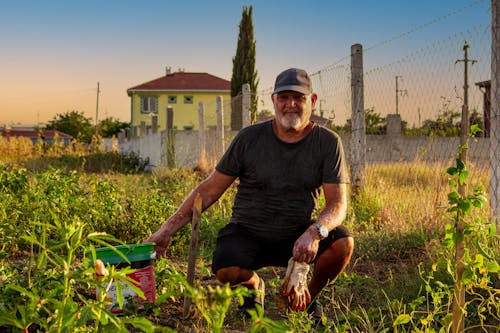 Foto d'estoc gratuïta de adult, agricultura, camp