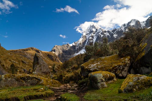 Rock Boulders Covered with Moss