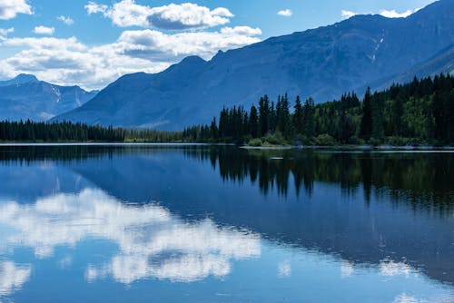 Green Trees Near Lake Under Blue Sky and White Clouds