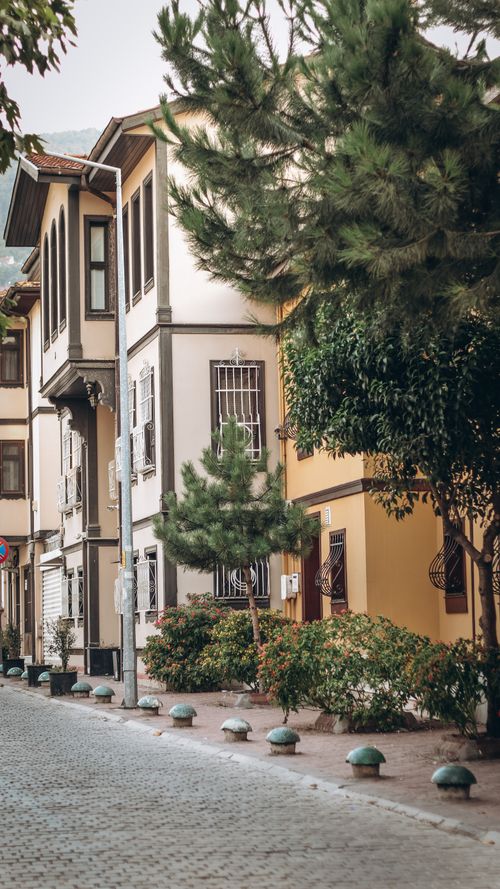 Free Idyllic street with charming traditional buildings and lush greenery in a peaceful neighborhood. Stock Photo