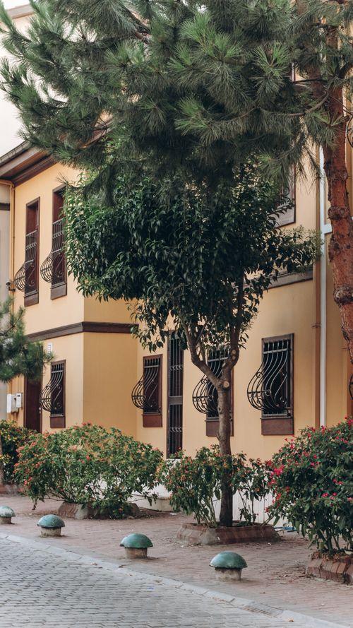 Free Urban building with exterior plants and trees enhancing the sidewalk view. Stock Photo