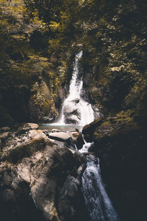 Free Tranquil waterfall cascading in a rocky plunge pool surrounded by dense forest foliage. Stock Photo