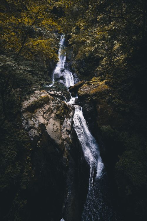 Free Stunning vertical shot of a waterfall flowing through a rocky forest, capturing nature's serene beauty. Stock Photo