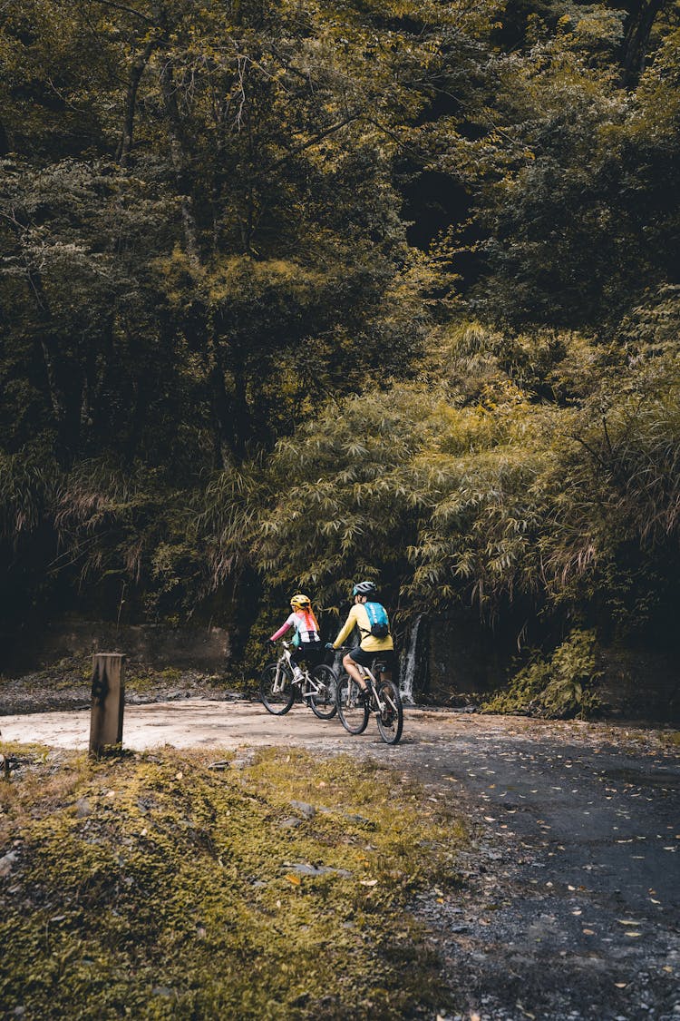 Couple Cycling In Forest