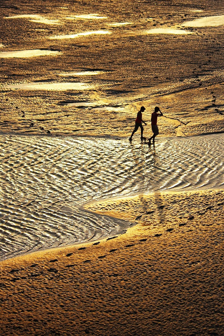 Silhouette Of Men On The Beach