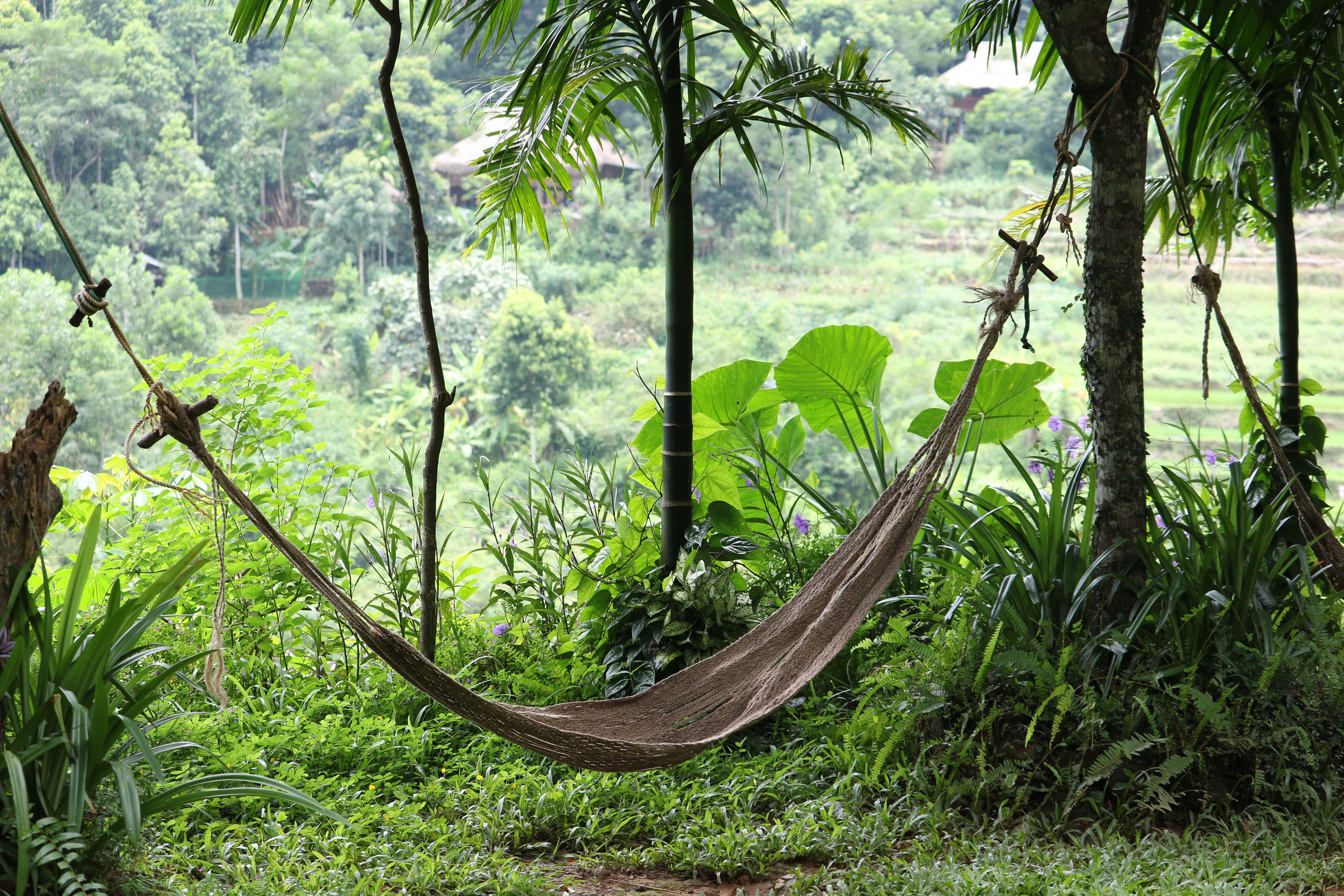 Earthing for Sleep: The Complete Grounding Protocol for Deep Rest (2026)