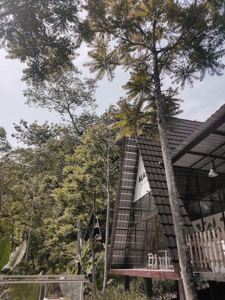 Green Trees Near Wooden House