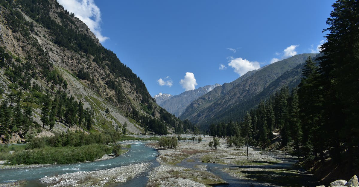 The Calibration Council 1 image text