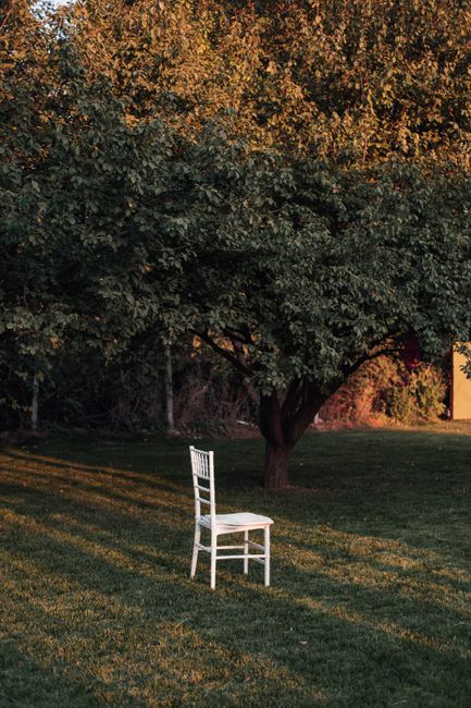 A solitary white chair under a lush tree in a sunlit park during late afternoon.