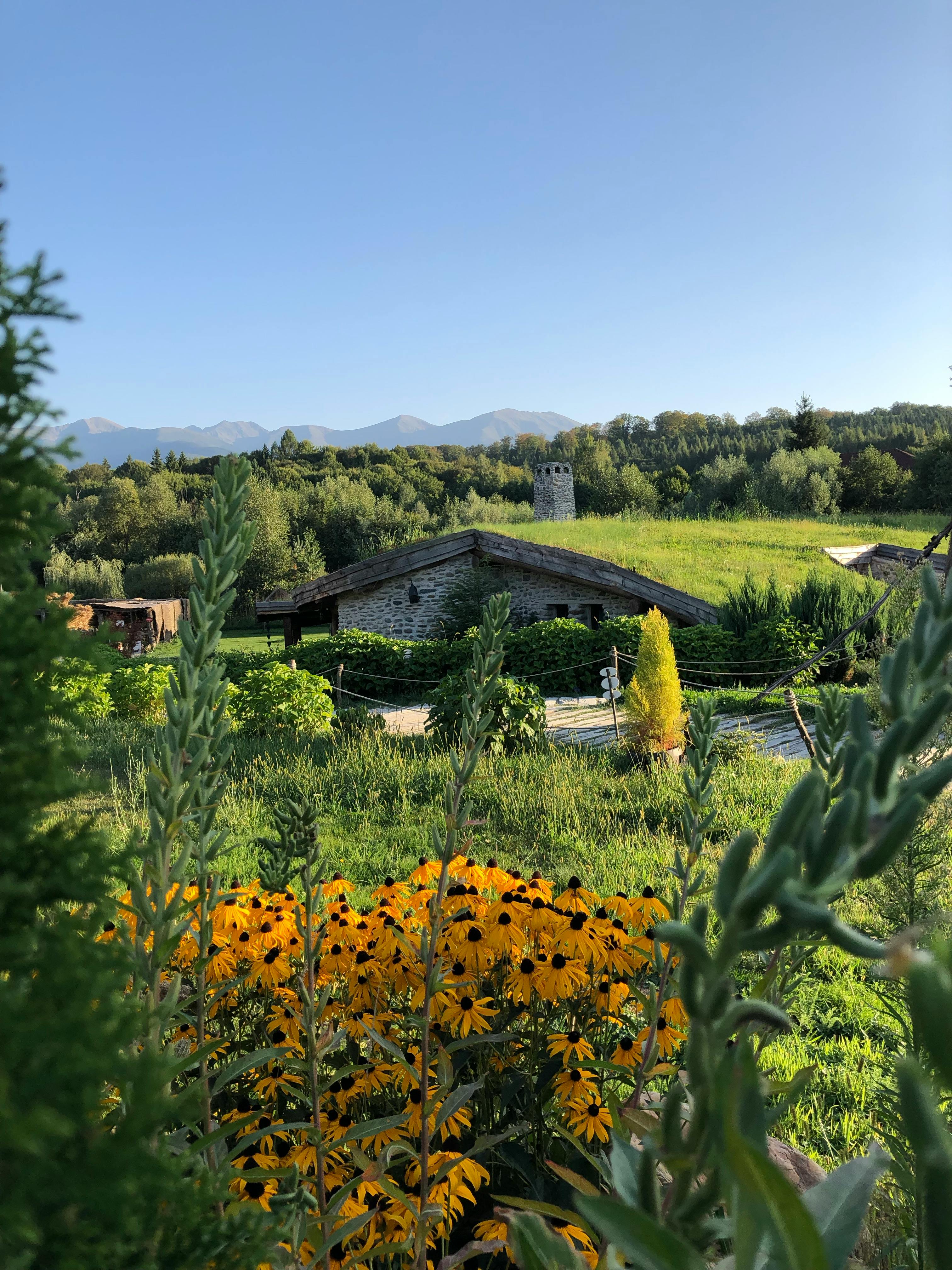 Enchanted Forest Flowers Photos, Download The BEST Free Enchanted