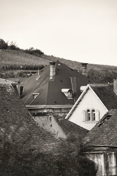Grayscale Photo of Houses Near Trees