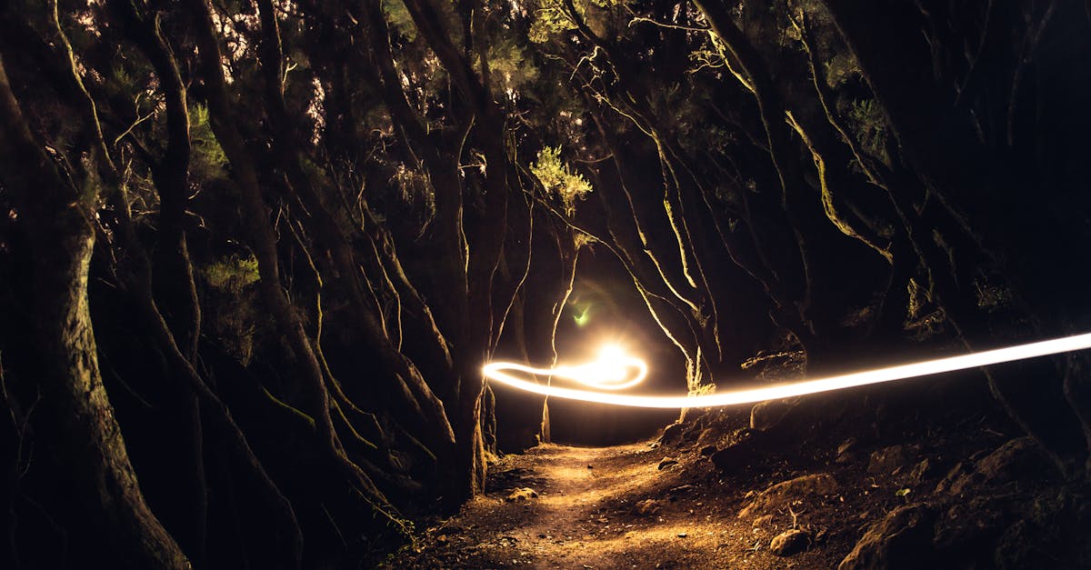 pexels-photo-13327765.jpeg?auto=compress&cs=tinysrgb&fit=crop&h=627&w=1200