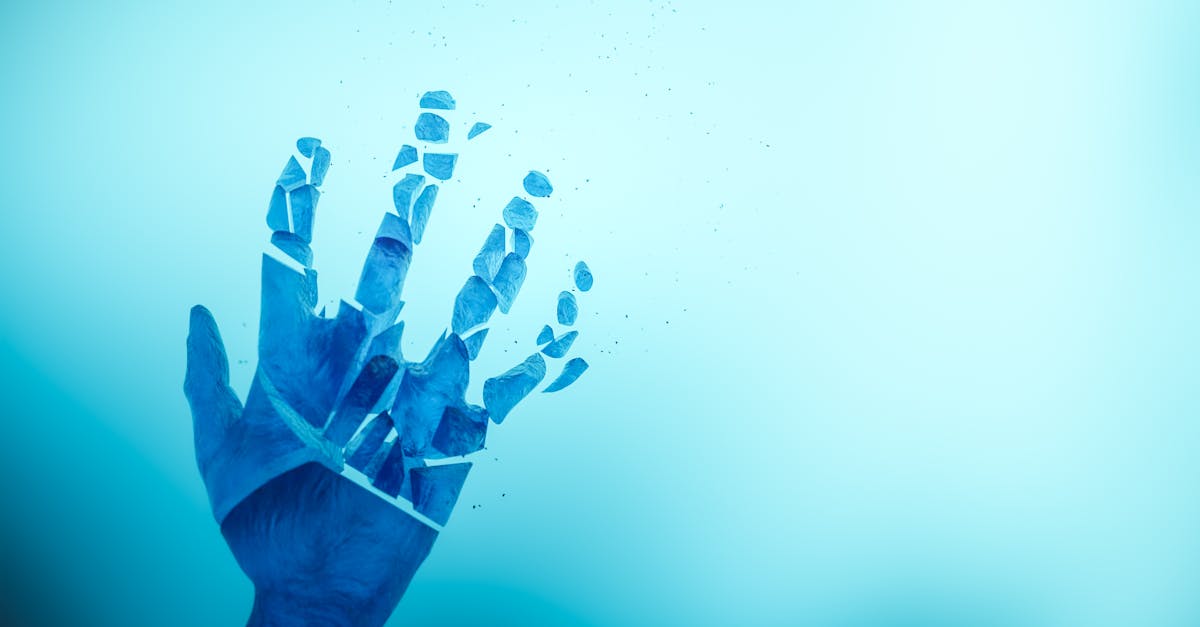 The Fractured Lens 1 image text