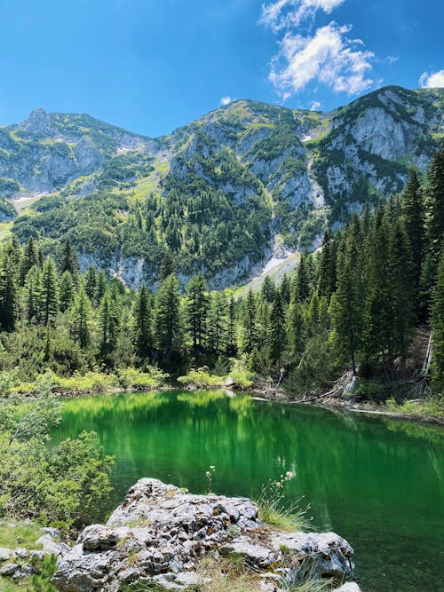 Green Trees Near Lake and Mountain Under Blue Sky