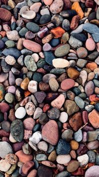 Colorful close-up of various textured stones creating a vibrant natural pattern.