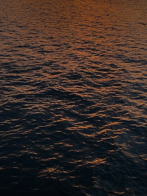 Body of Water during Sunset