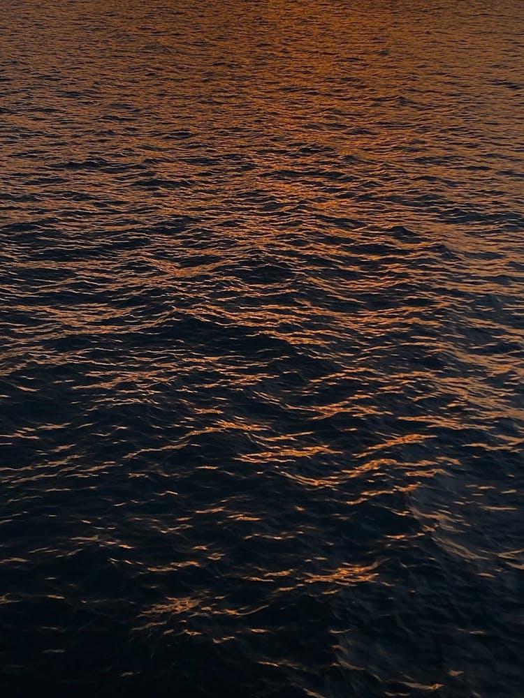 Body Of Water During Sunset