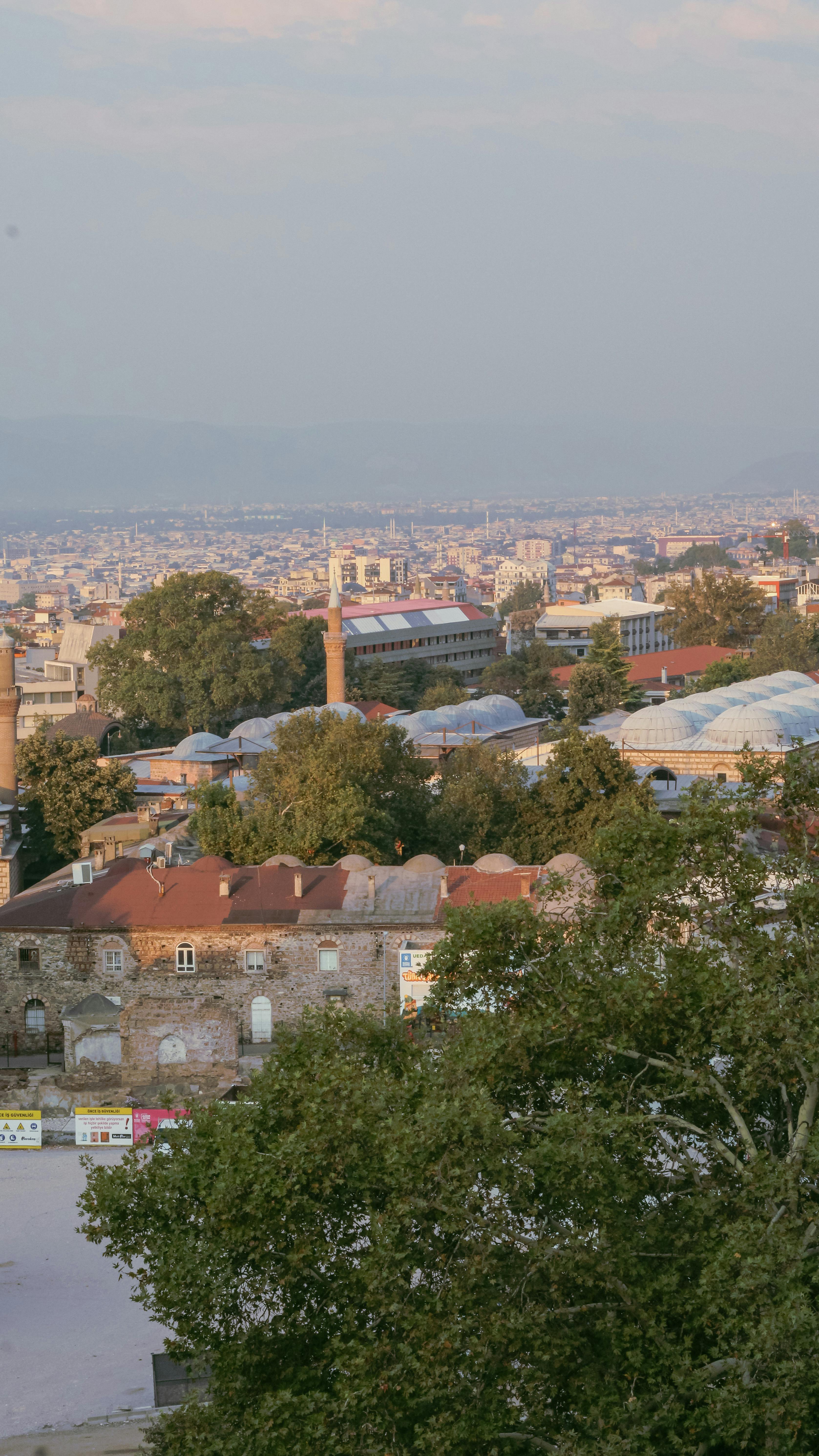 Elevated cityscape view with historical architecture and trees at sunset.
