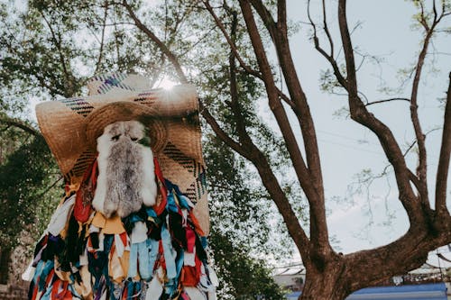 Person in Colorful Native Costume