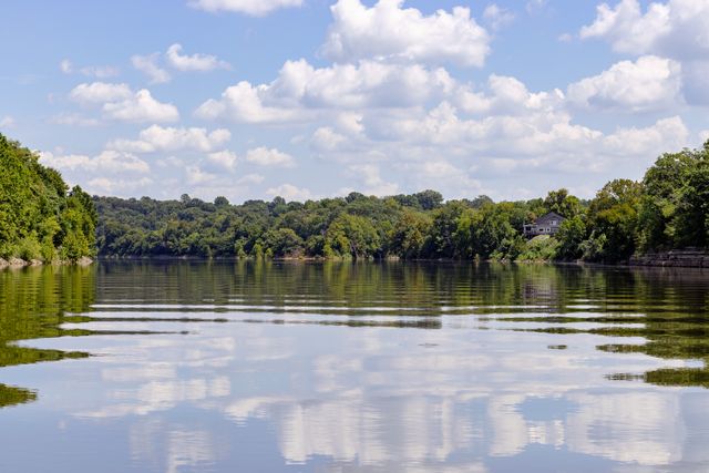 Photo by Sean-Paul McKee on Pexels Photo by Sean-Paul McKee on Pexels